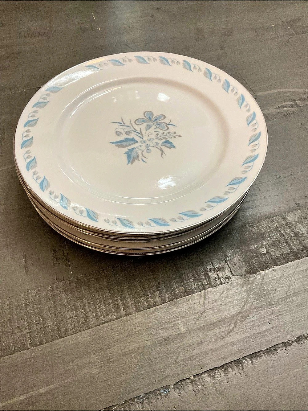 The Homer Laughlin China Company Blue Floral Dinner Plates in White &